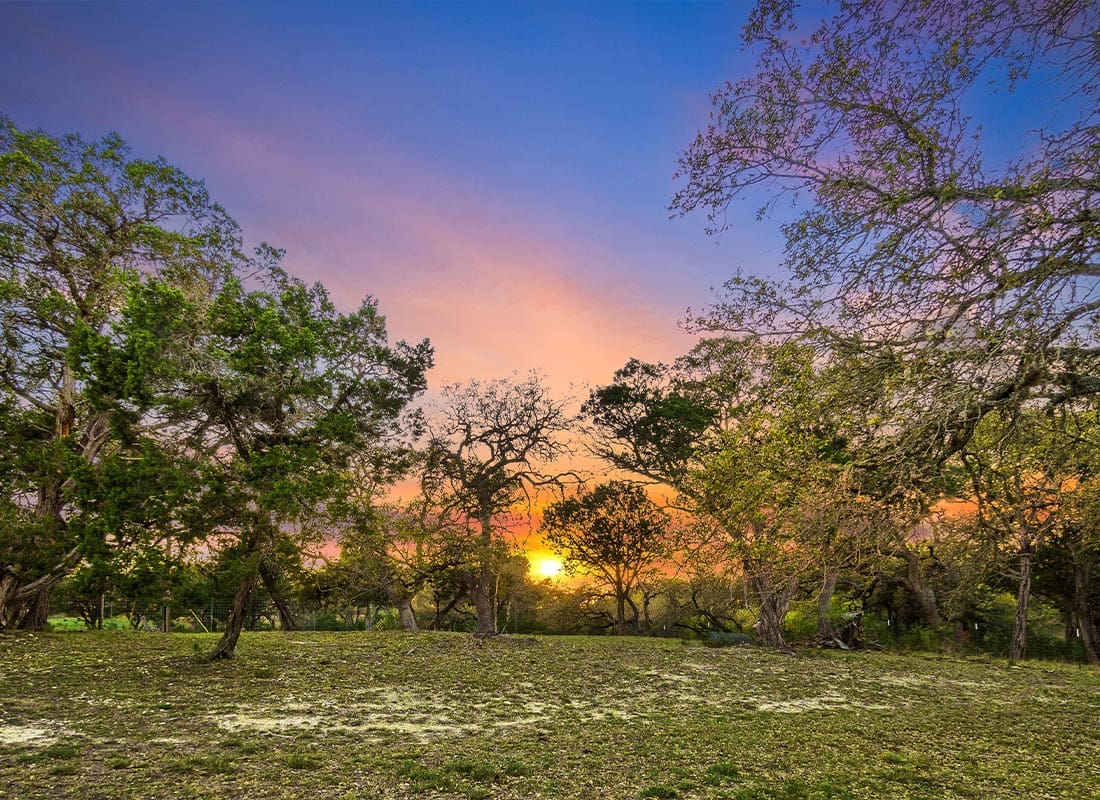 Boerne, TX - A Beautiful Sunset With Lush Trees at the Park in Boerne, TX