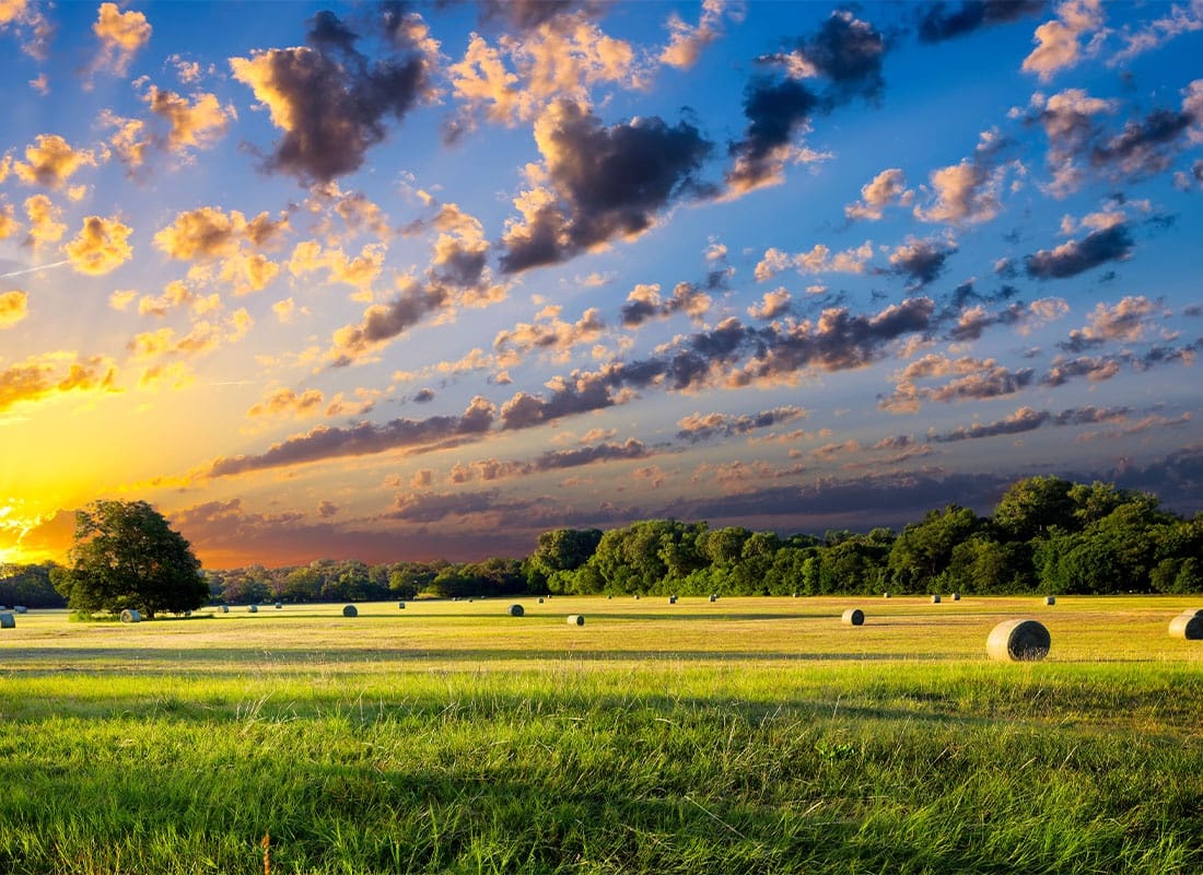 Lumberton, TX - Hay Bales With Lush Trees at Sunrise